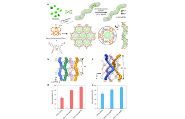 Atomic-level visualization of helical polymers within chiral MOF channels 2026.100910